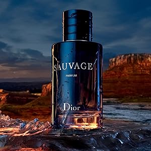 COMBO 3 x 1 | ONE MILLION 100 ml | SAUVAGE 100 ml | BLEU 100 ml