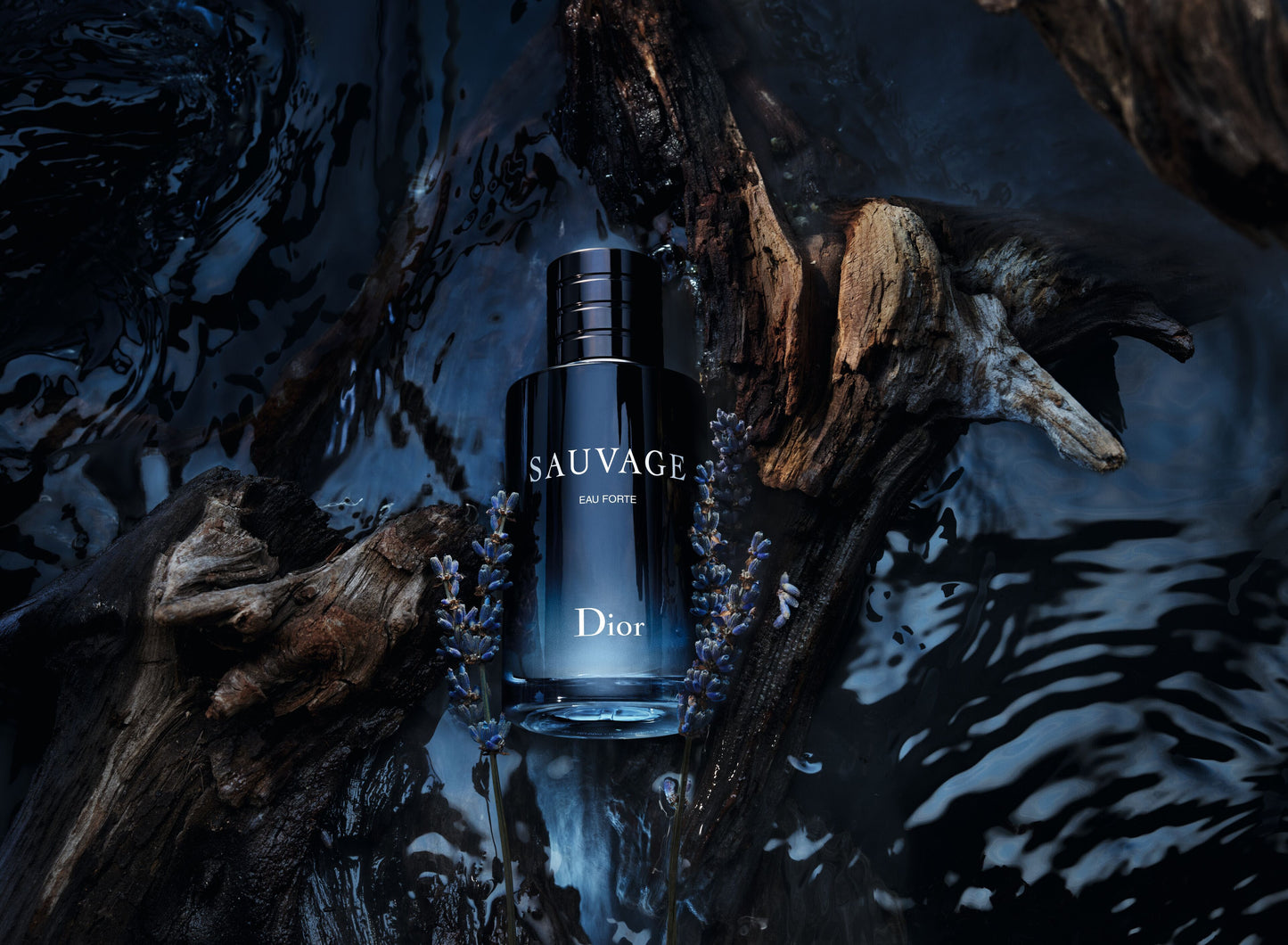 COMBO 3 x 1 | INVICTUS 100 ml • SAUVAGE 100 ml • 212 VIP 100 ml